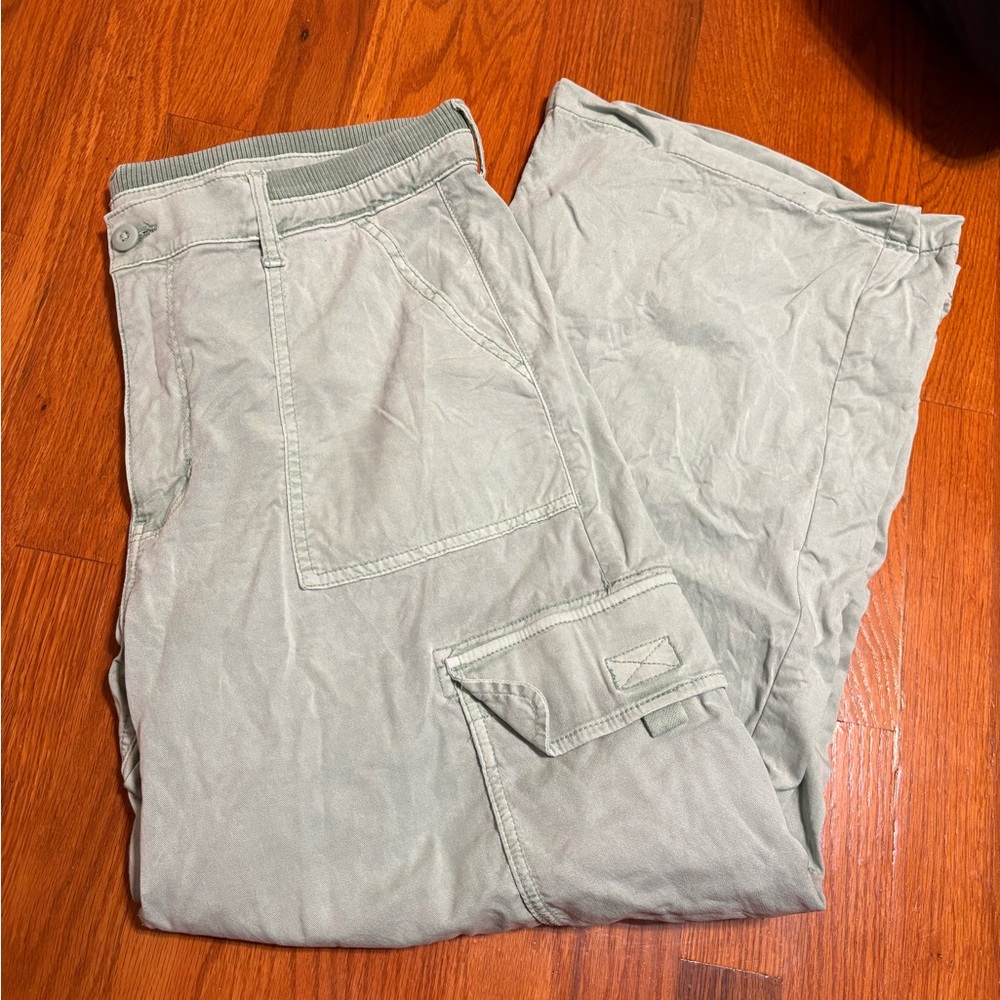 American eagle women’s stretch pants 14 short